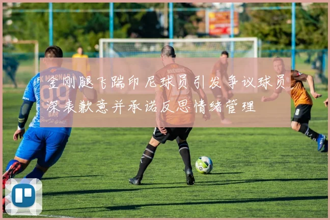 金刚腿飞踹印尼球员引发争议球员深表歉意并承诺反思情绪管理