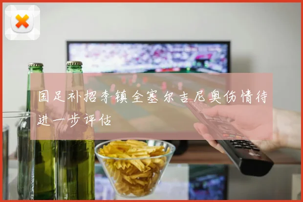 国足补招李镇全塞尔吉尼奥伤情待进一步评估